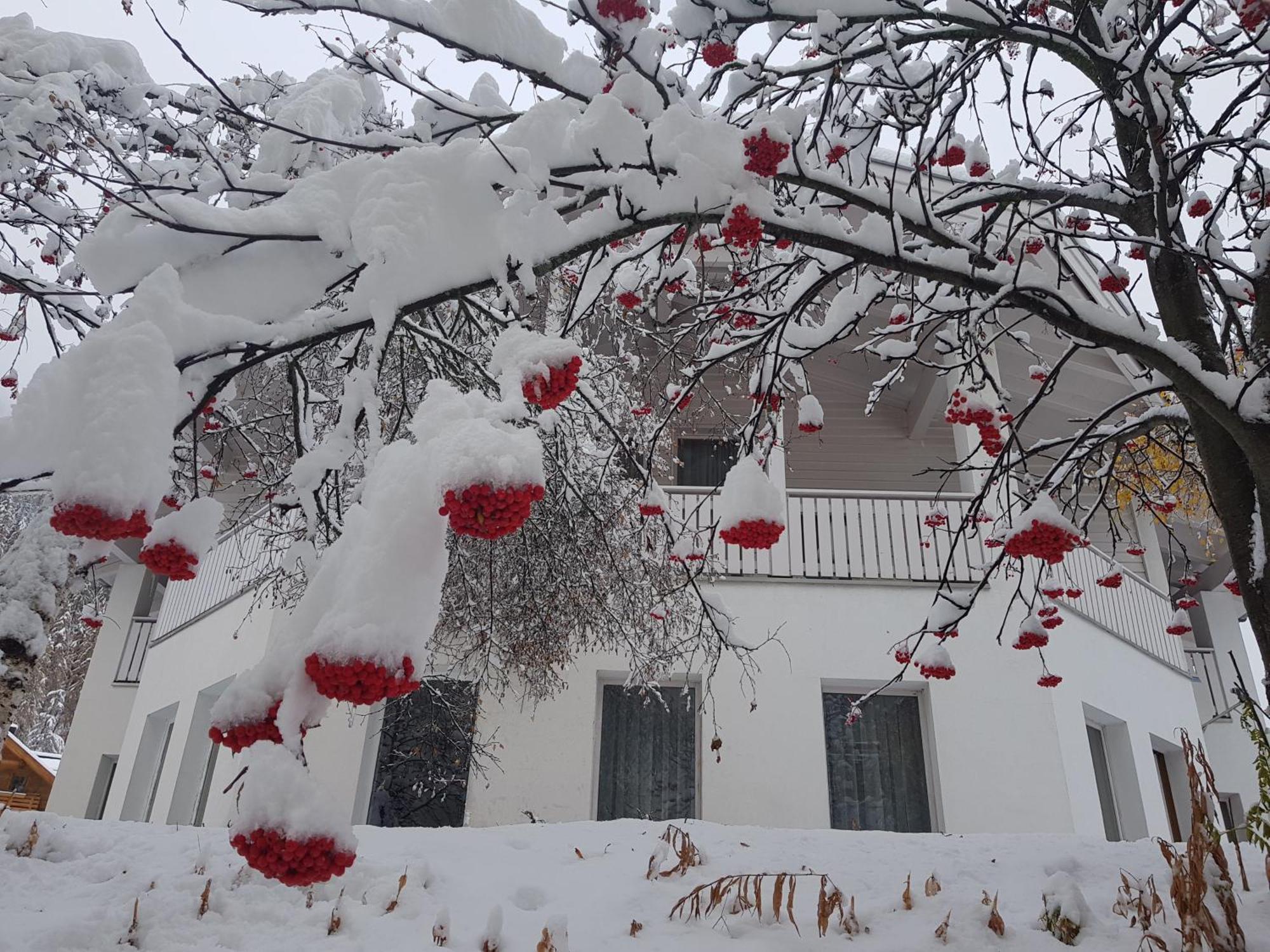 Apart Foresta Samnaun Exterior foto