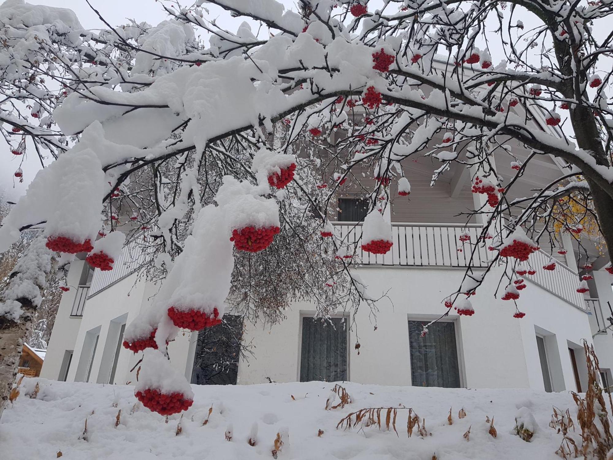 Apart Foresta Samnaun Exterior foto